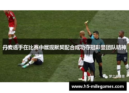 丹麦选手在比赛中展现默契配合成功夺冠彰显团队精神