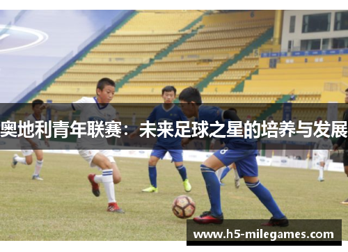 奥地利青年联赛：未来足球之星的培养与发展