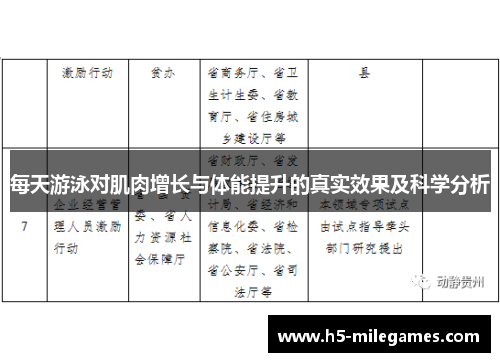 每天游泳对肌肉增长与体能提升的真实效果及科学分析