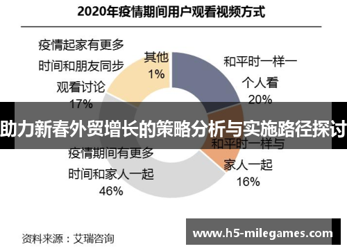 助力新春外贸增长的策略分析与实施路径探讨