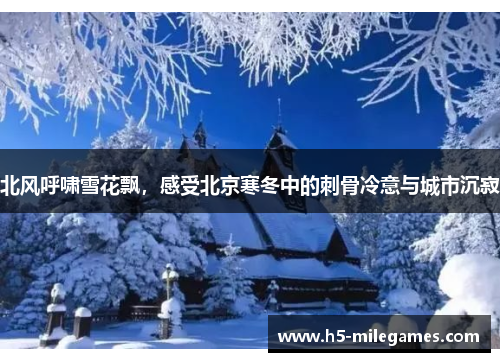 北风呼啸雪花飘，感受北京寒冬中的刺骨冷意与城市沉寂